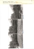 Glanum - Sanctuaire primitif (XXXV) - (pl. 3) - Partie inférieure ; mur sud-d, face nord, et blocs 124 à 128