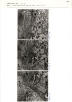 Glanum - Monument LV (pl. 10) - Pièce c, angle sud-est et mur sud, face nord ; blocs 75 à 77