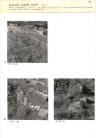 Glanum - Sanctuaire primitif (XXXV) - (pl. 2) - Partie intermédiaire ; pièce b : vue depuis le sud-ouest, avec mur, au niveau du sol sur lequel se trouve le bloc 140 (1) ; mur nord (2)