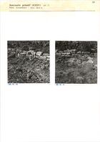 Glanum - Sanctuaire primitif (XXXV) - (pl. 2) - Partie intermédiaire ; murs ouest-a